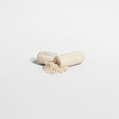 NOOTROPIC BRAIN AND FOCUS FORMULA